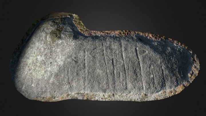 Petroglifo dos Bermús - Agua da Laxe 3D Model