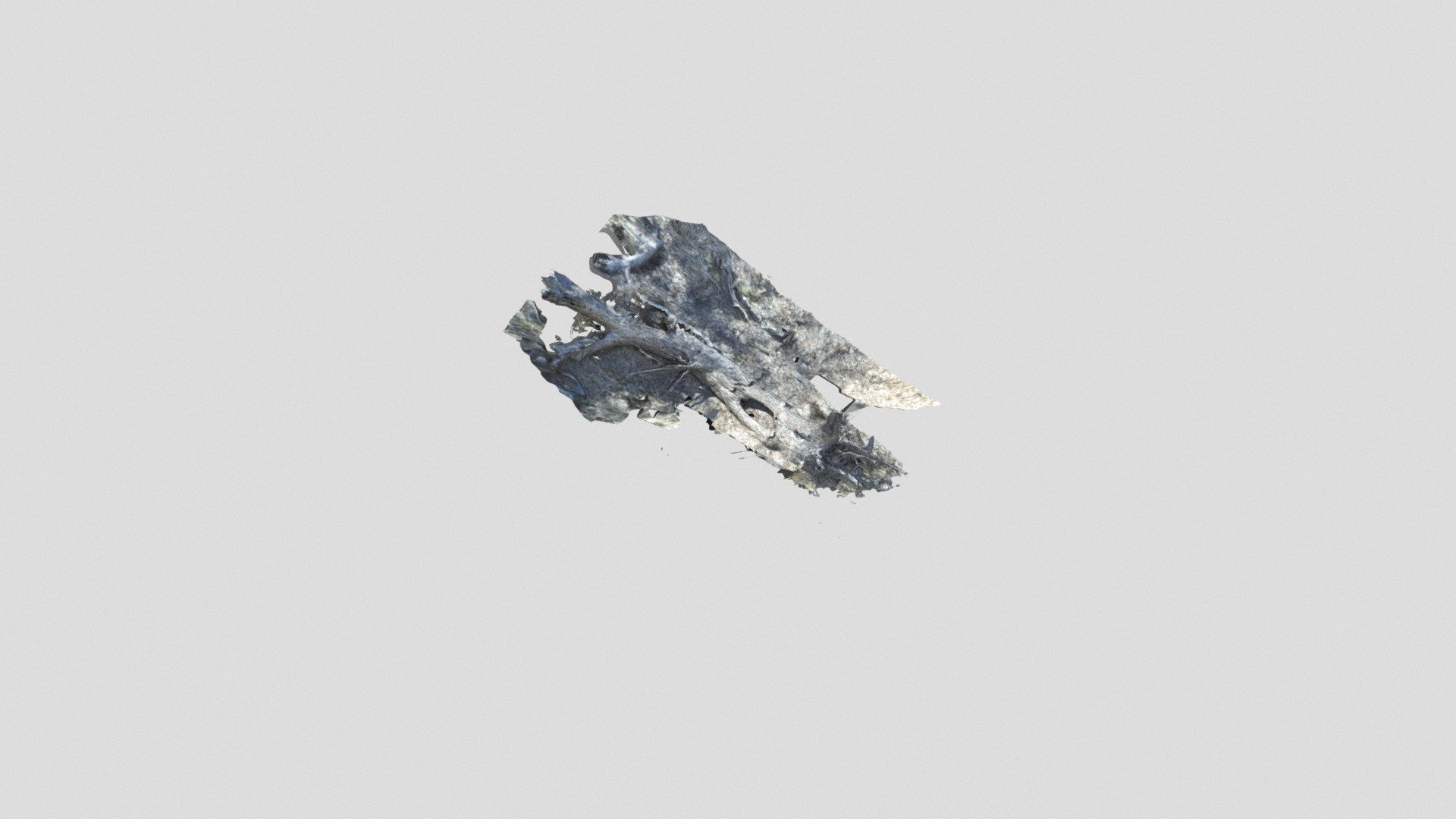 Model