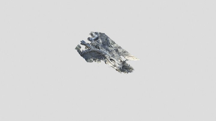 Model 3D Model