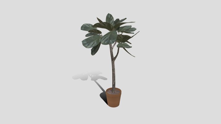 wk9_plant_gudeman_jesslyn 3D Model