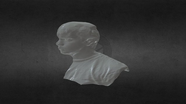 Split Head 3D Model