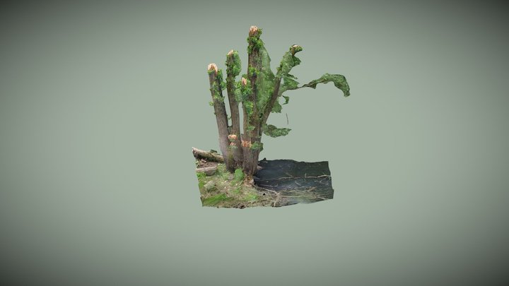 LLNR Veteranisation 3D Model
