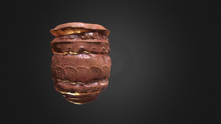 Human skin cup 3D Model