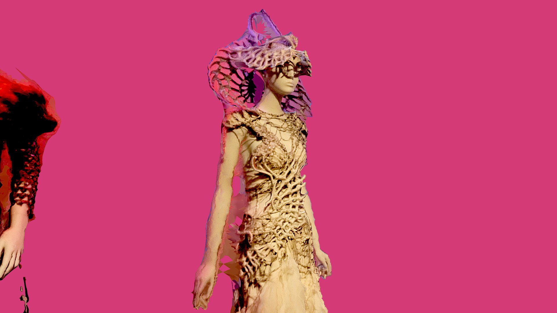 Outfit from Burning Man
