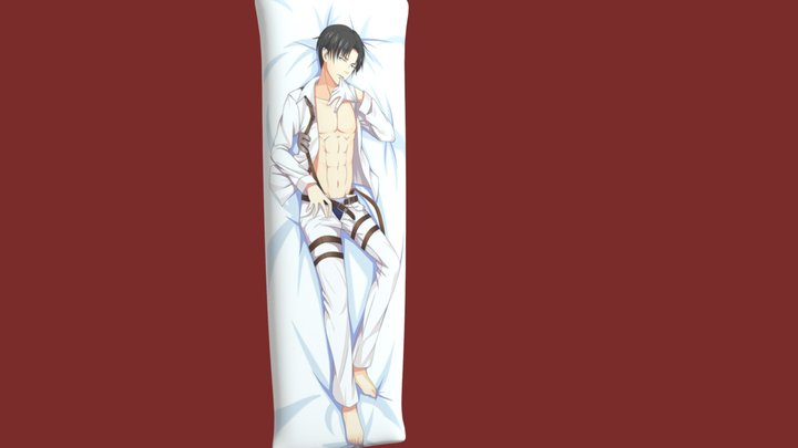 Levi Pillow 3D Model