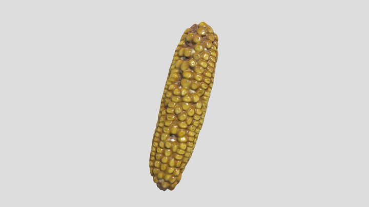 Reid Yellow Field Corn 3D Model