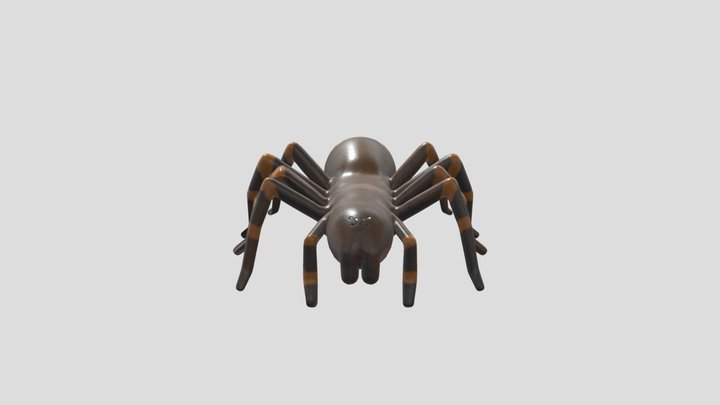 Tarantula - organic folder 3D Model