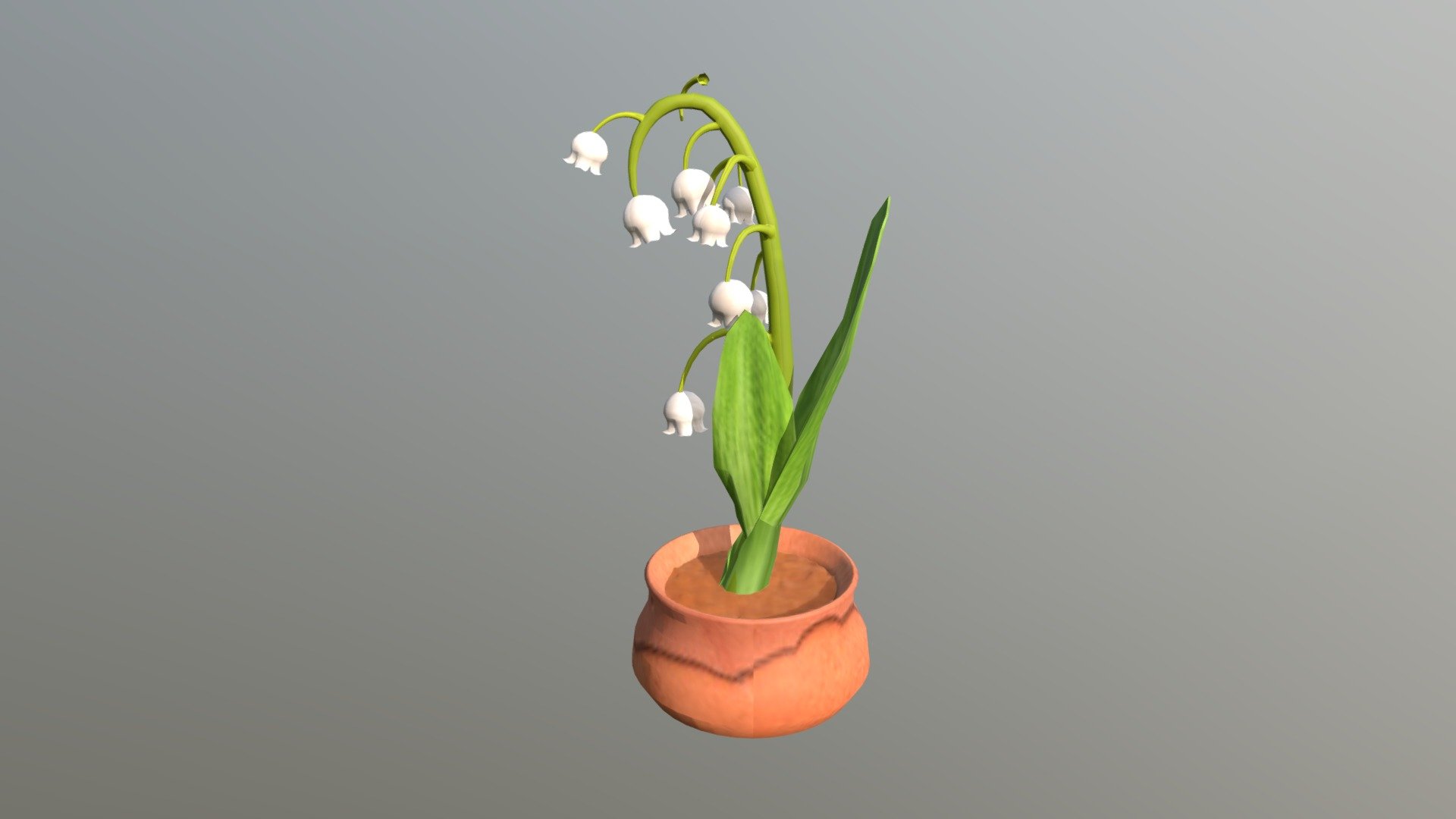week8_lilly_of_the_valley
