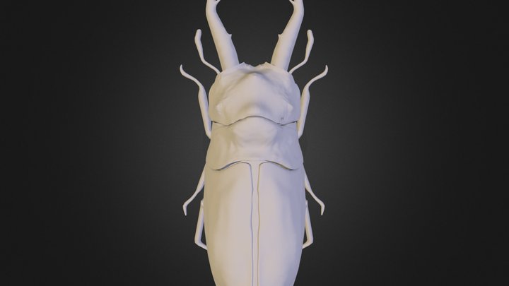 Bug 1 3D Model
