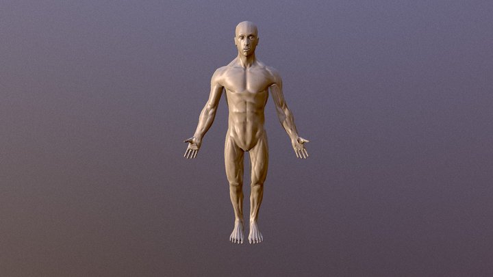 Low Poly Human 3D Model