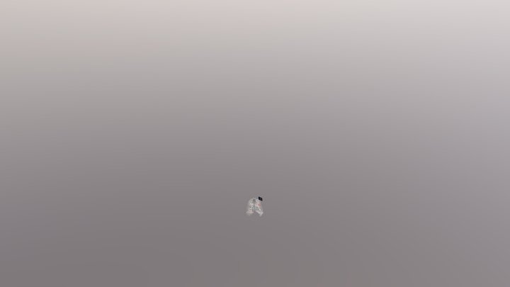 Ct 3D Model