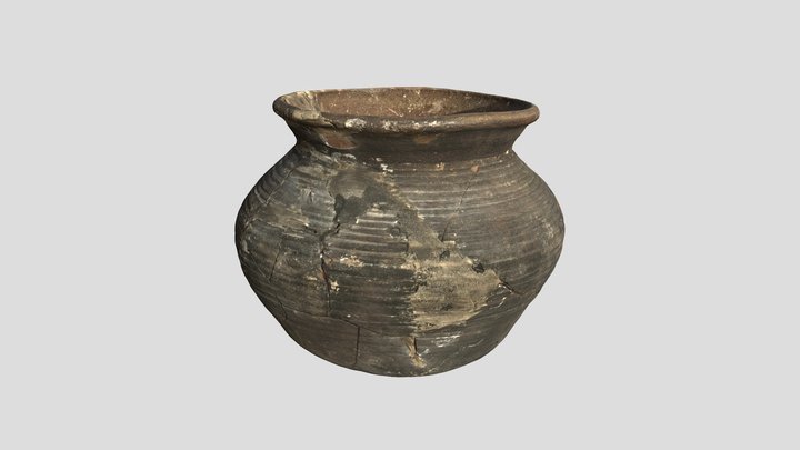 Anastilosis: Olla esmaltada 1 (s. XV-XVI) 3D Model