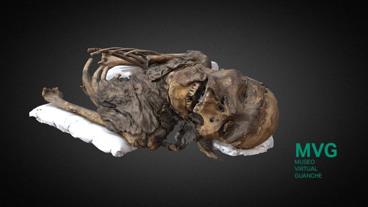 MVG-002- Cráneo y torso momificados 3D Model