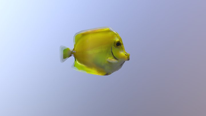Ugly Fishy 3D Model