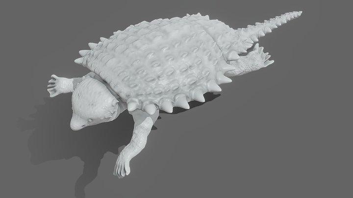 Cyamodus 3D Model