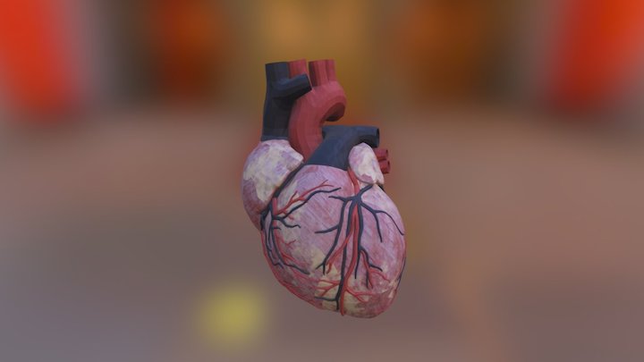 heart 3D Model