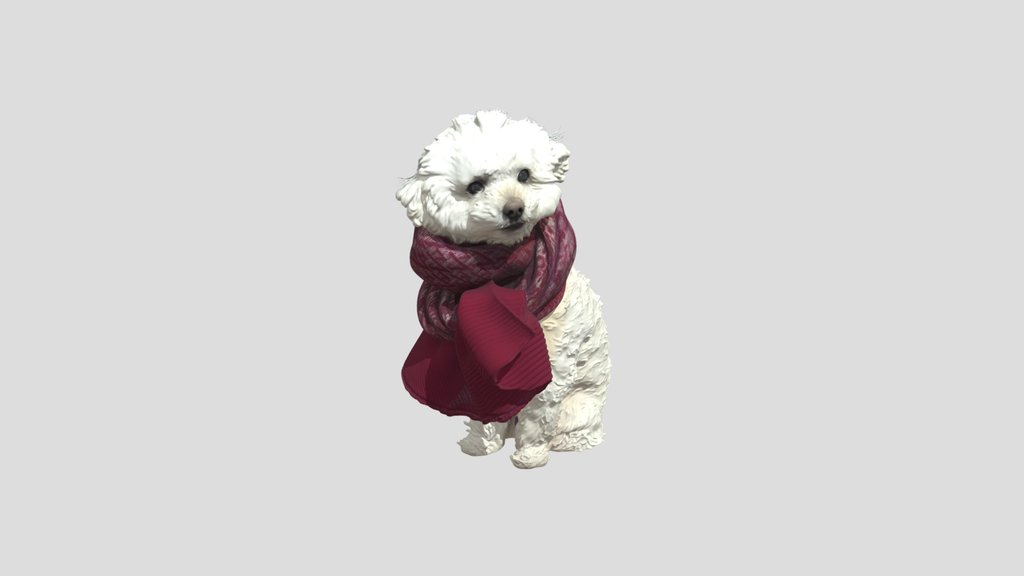 A Cute Puppy With Muffler