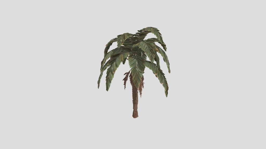 Palm