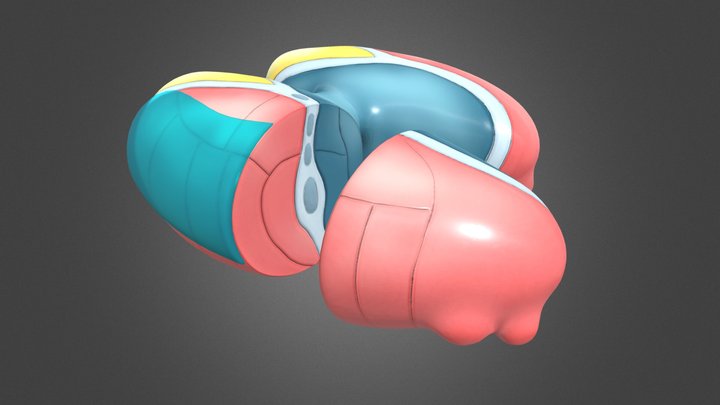 Talamo 2 3D Model