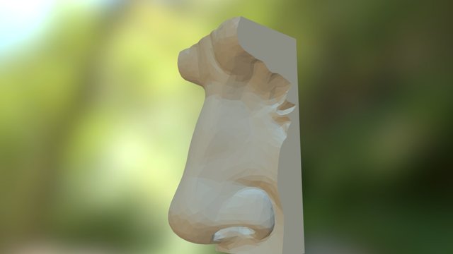 David - Nose 3D Model