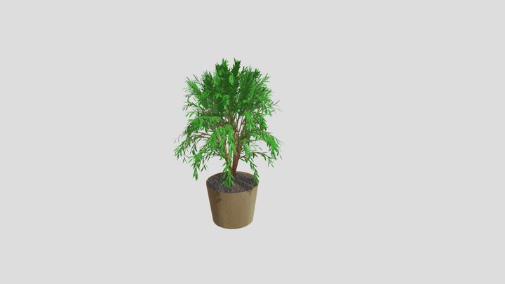Flower 3D Model