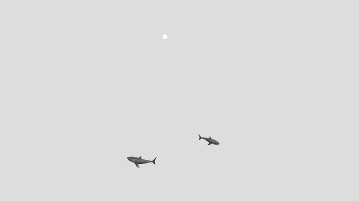 Tiburon B 3D Model