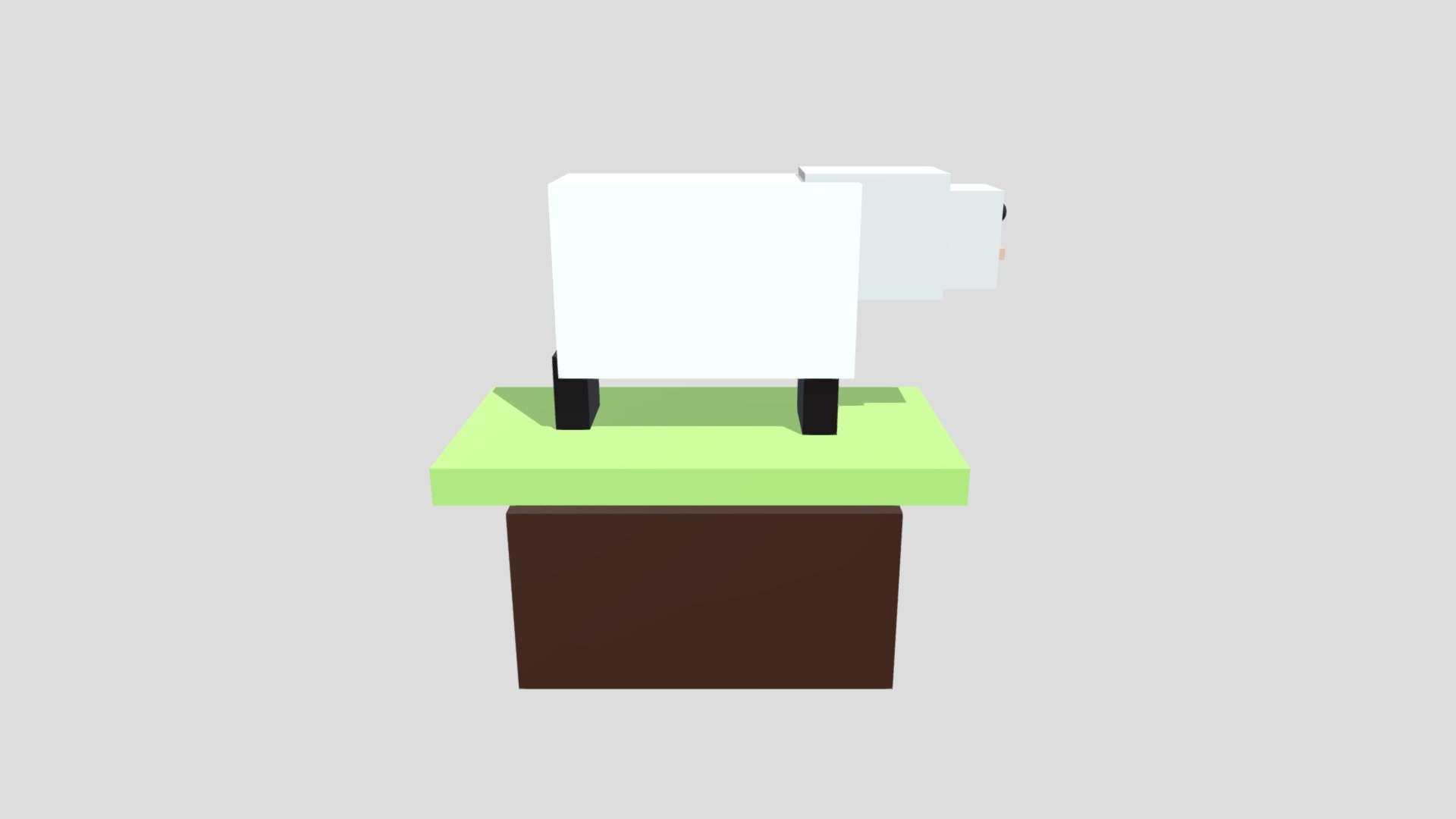 Sheep