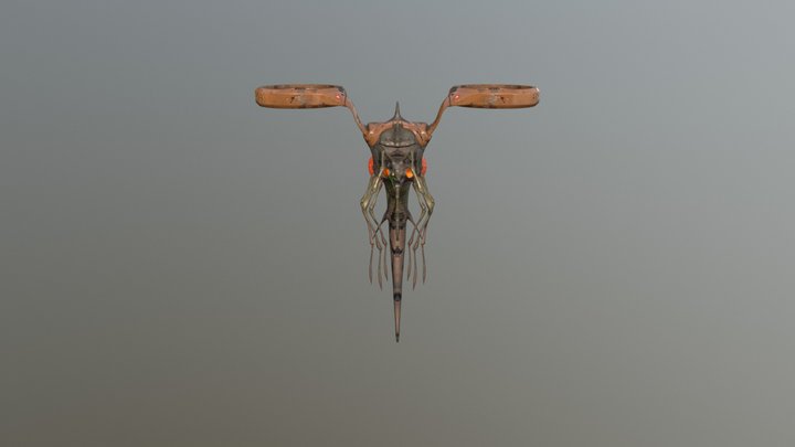 Insect Texturing 3D Model