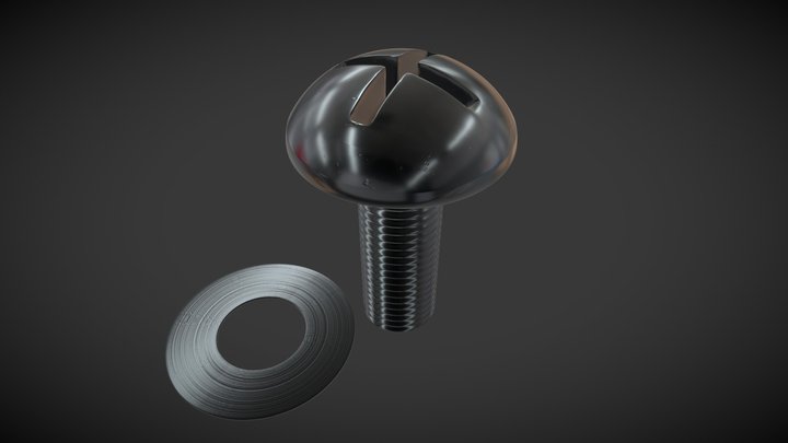 Screw and flat washer 3D Model