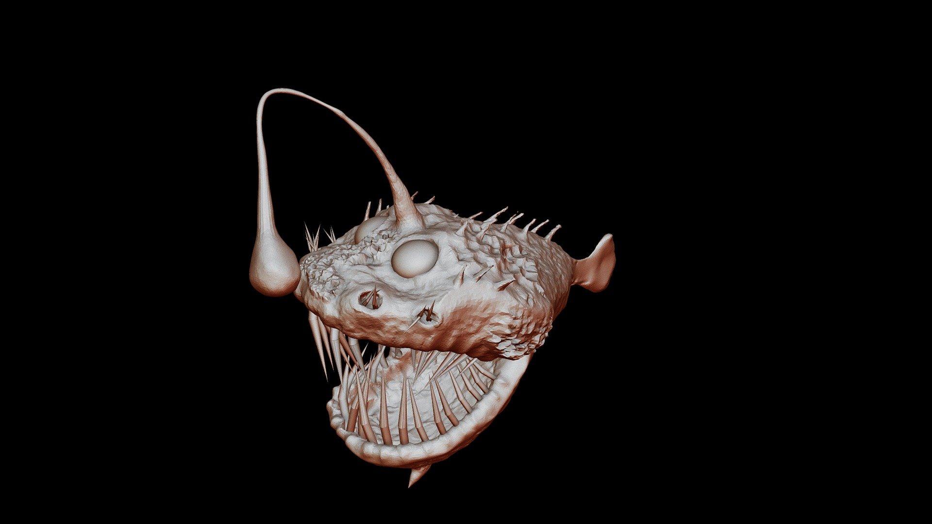 Sea Creature
