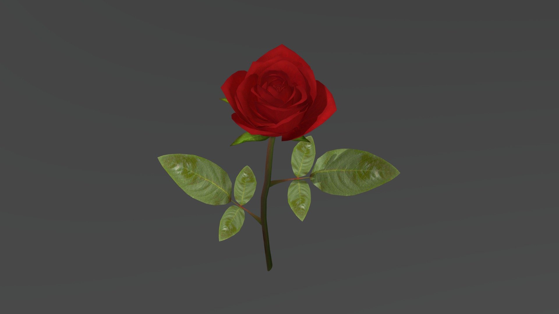 Rose - 3D model by monostudio [a1ed0c7] - Sketchfab