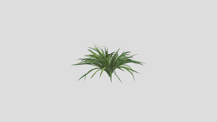 bush 3D Model