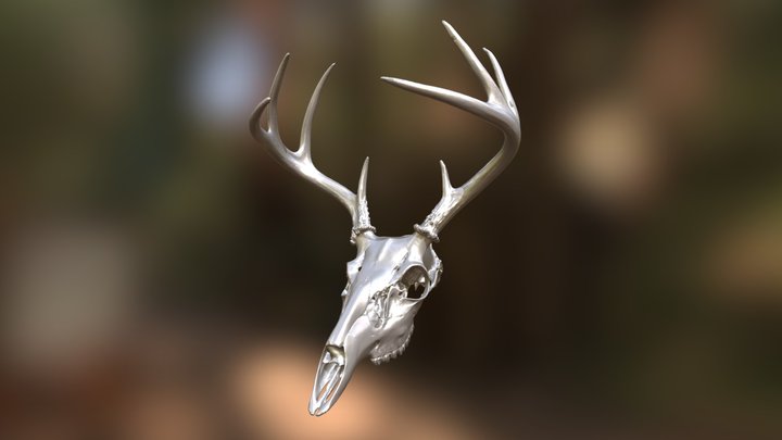 Whitetail Deer Skull .STL File 3D Model