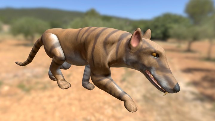 Simbakubwa Loop 3D Model