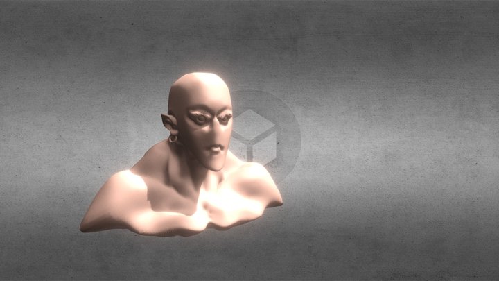 Elf Shaman 3D Model