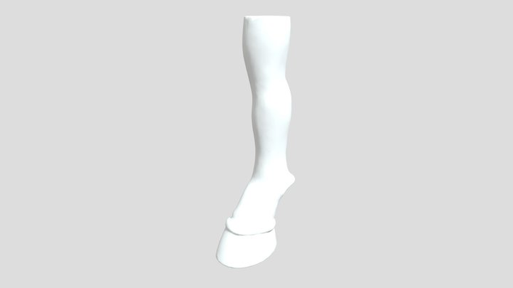 smooth latex ponyplay hoof boot 3D Model