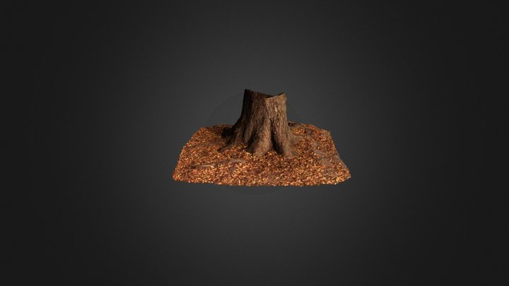 Stump and Leaves 3D Model