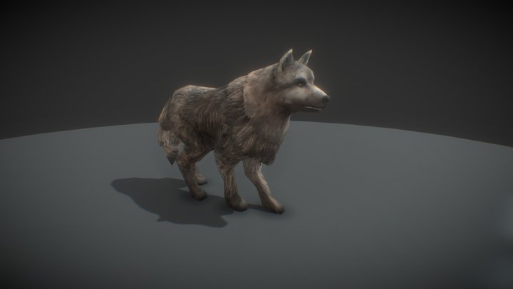 Fantasy Dog 3D Model