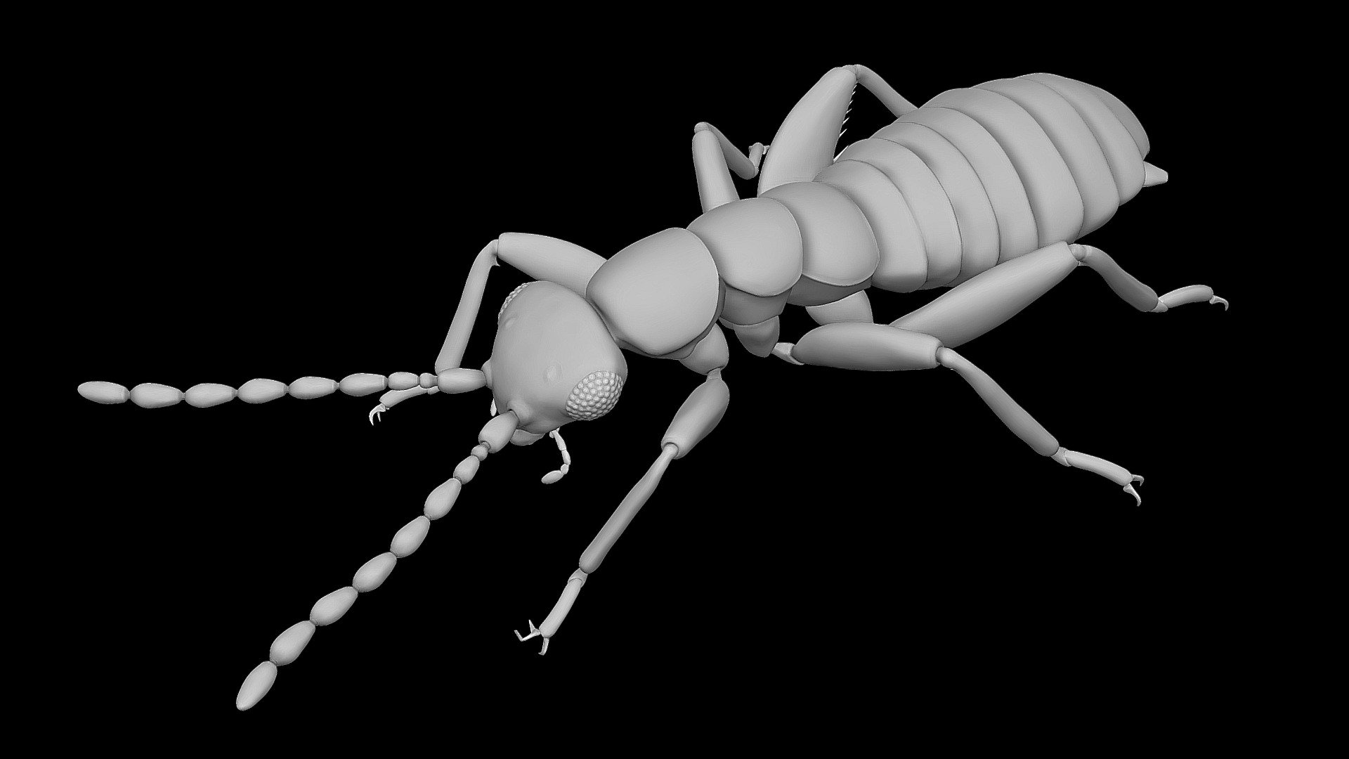 Zorotypus - Download Free 3D model by tunosemi [a1fc4ad] - Sketchfab