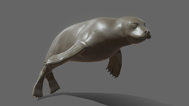 Fóka 3D Model