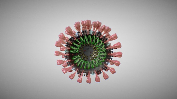 3D-Model of a Corona-Virus 3D Model