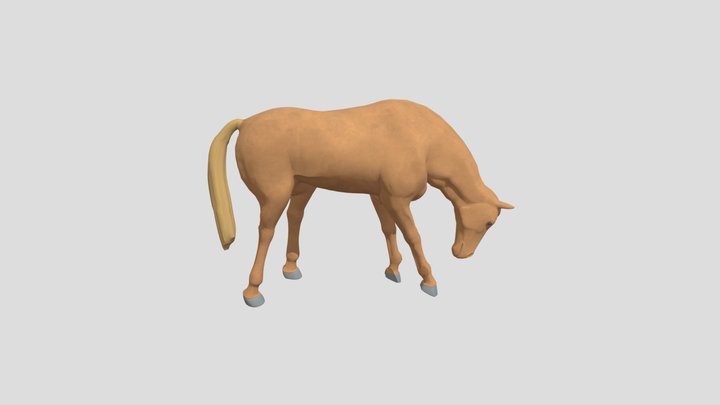 Horse 3D Model 3D Model