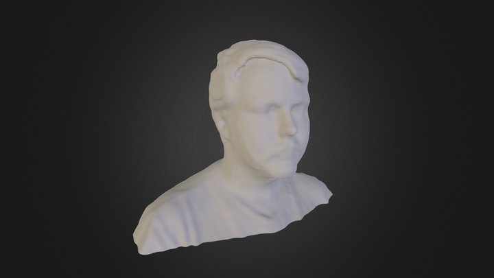Jesse (Self Portrait via Scanect) 3D Model