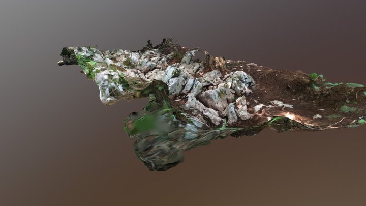 SBB18_sNejc 3D Model