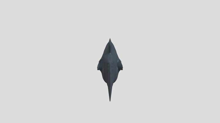 Fish 3D Model