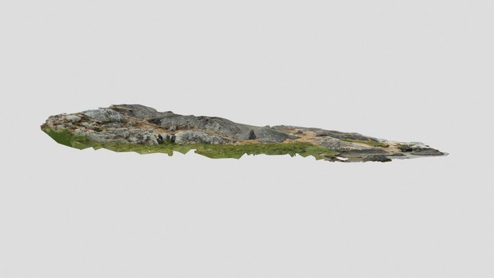 Nordic beach backdrop [ROUGH SCAN] 3D Model