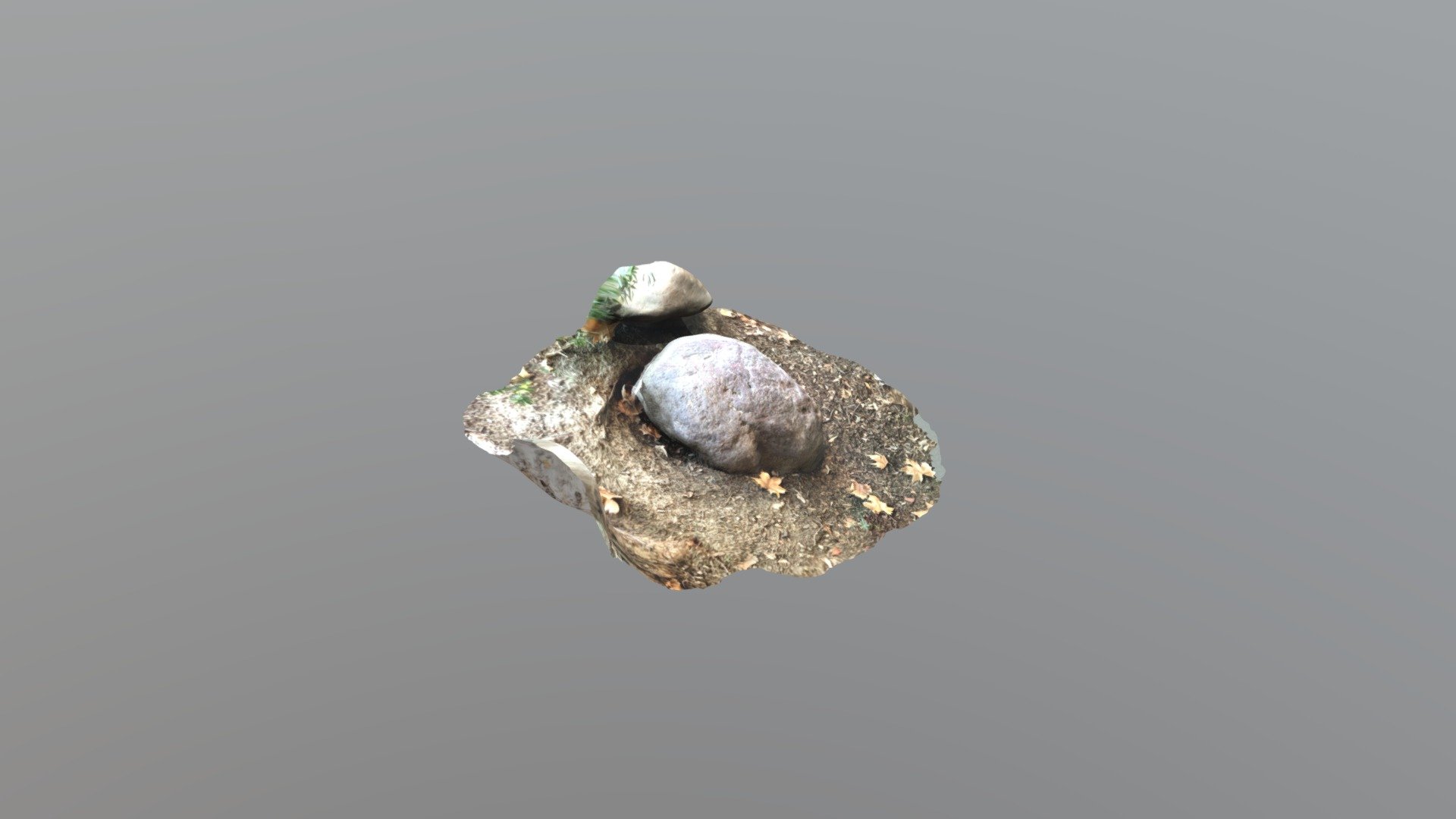 3D scanned rock