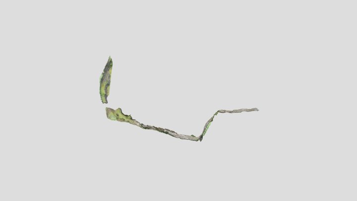 Ballylagan 3D Model