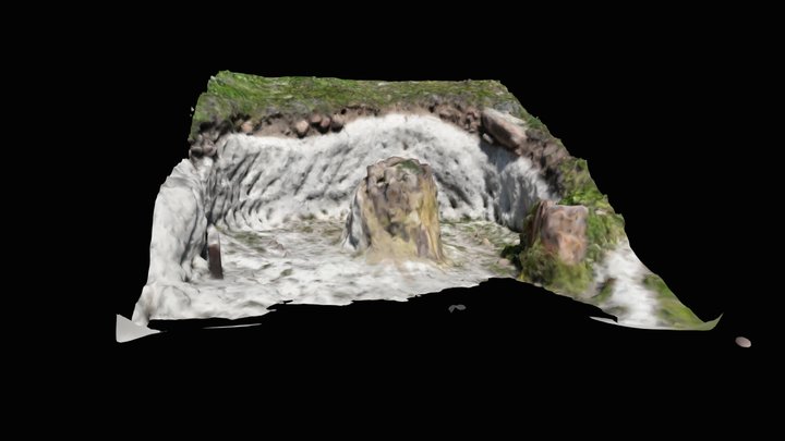 Petrified tree trunk 23. 3D Model