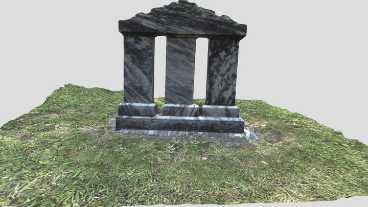 Brainaird 3D Model 3D Model